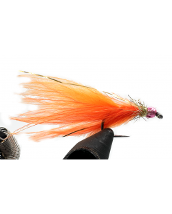 ORANGE REVERSE